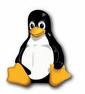 Linux Support in Tauranga